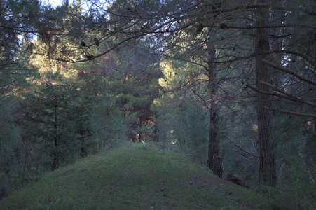 Enlarge photo 39