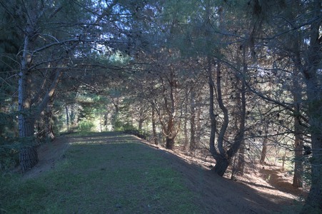 Enlarge photo 40