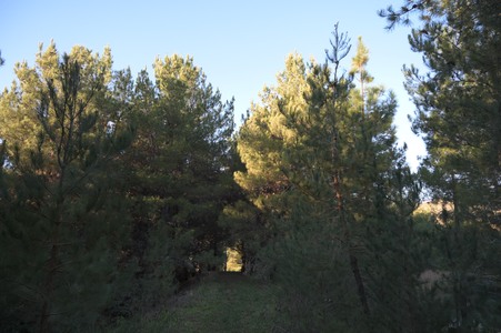 Enlarge photo 41