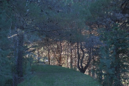 Enlarge photo 42