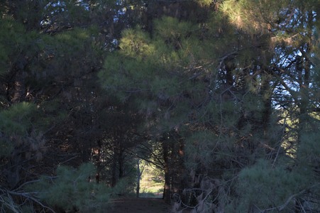 Enlarge photo 43