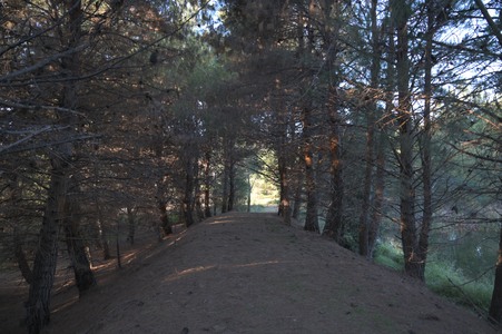 Enlarge photo 44
