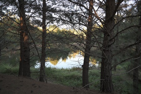 Enlarge photo 45