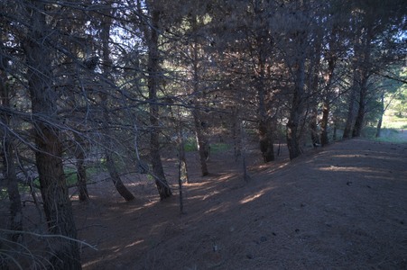 Enlarge photo 46