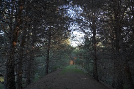 Enlarge photo 47