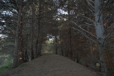 Enlarge photo 48