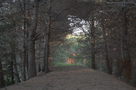 Enlarge photo 49