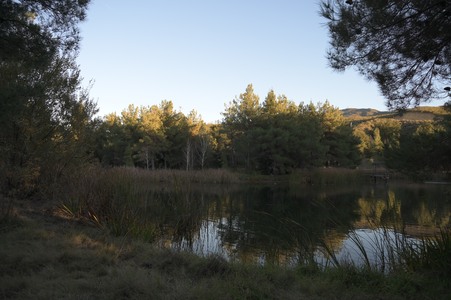 Enlarge photo 50