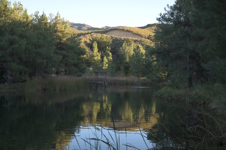 Enlarge photo 51