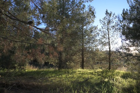 Enlarge photo 53