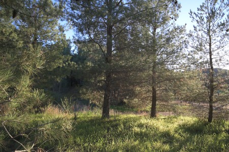 Enlarge photo 54