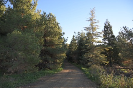 Enlarge photo 56
