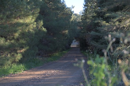 Enlarge photo 58