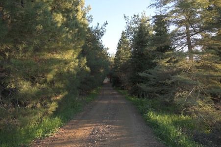 Enlarge photo 57
