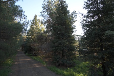 Enlarge photo 59