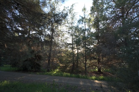 Enlarge photo 60