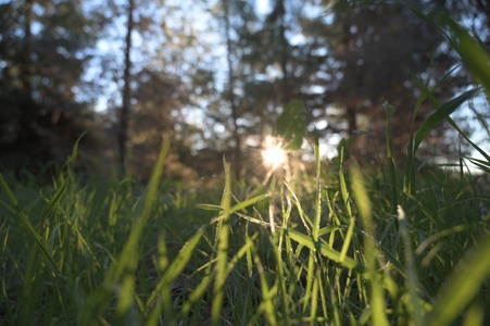 Enlarge photo 61
