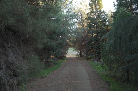 Enlarge photo 62