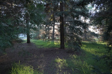 Enlarge photo 63