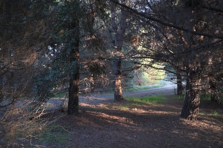 Enlarge photo 64