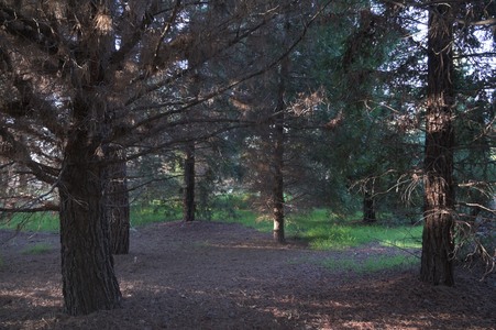 Enlarge photo 65
