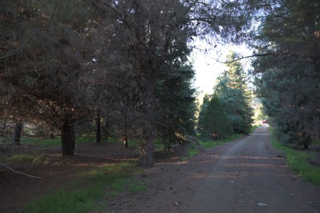 Enlarge photo 66