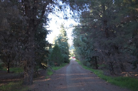 Enlarge photo 67