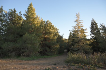 Enlarge photo 68