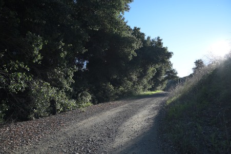 Enlarge photo 2