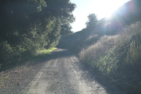 Enlarge photo 1