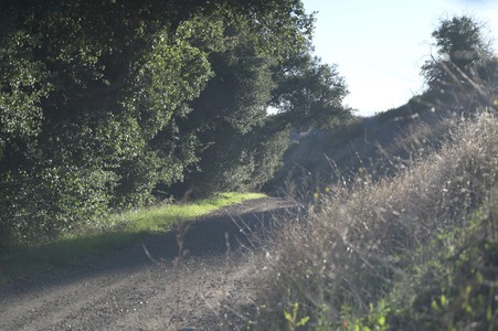 Enlarge photo 3