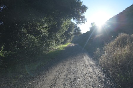 Enlarge photo 4