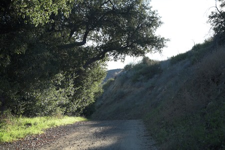 Enlarge photo 7