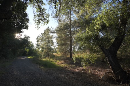 Enlarge photo 10