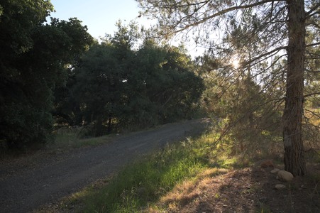 Enlarge photo 11