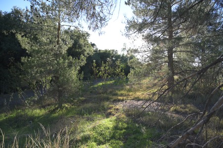 Enlarge photo 13