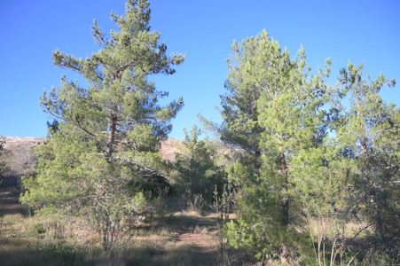 Enlarge photo 17