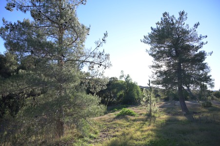Enlarge photo 18