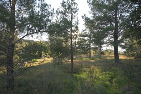 Enlarge photo 19