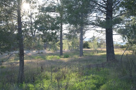 Enlarge photo 20
