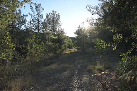 Enlarge photo 22