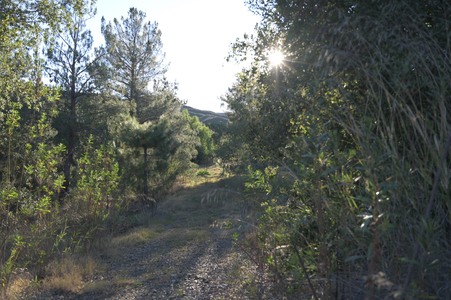 Enlarge photo 21