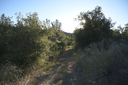 Enlarge photo 23