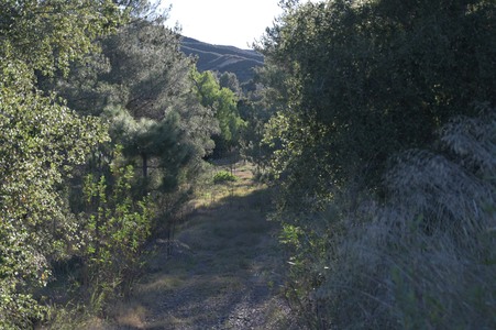 Enlarge photo 24