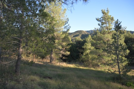 Enlarge photo 25