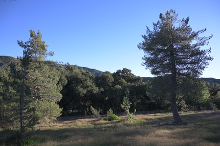 Enlarge photo 26
