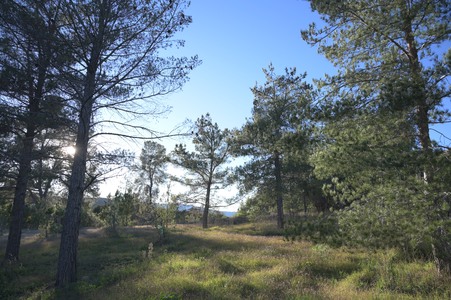 Enlarge photo 27