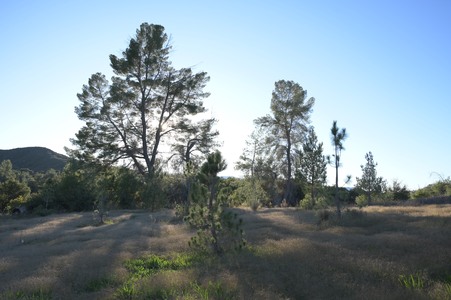 Enlarge photo 29