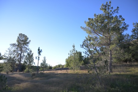 Enlarge photo 30