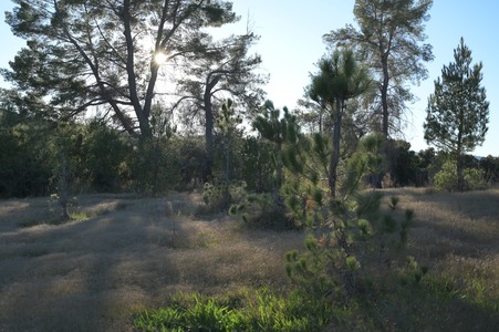 Enlarge photo 31